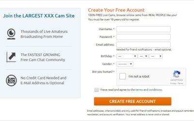 De leuke TheKittykatbar is terug