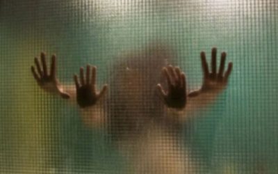 What happens in Brazil stays in Brazil