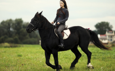 Mijn vrouw leert me Engels paard rijden